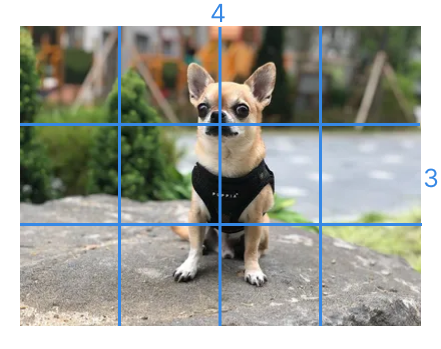 Crop an image by customizing its aspect ratio