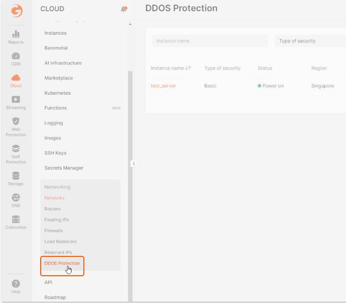 DDoS Protection
