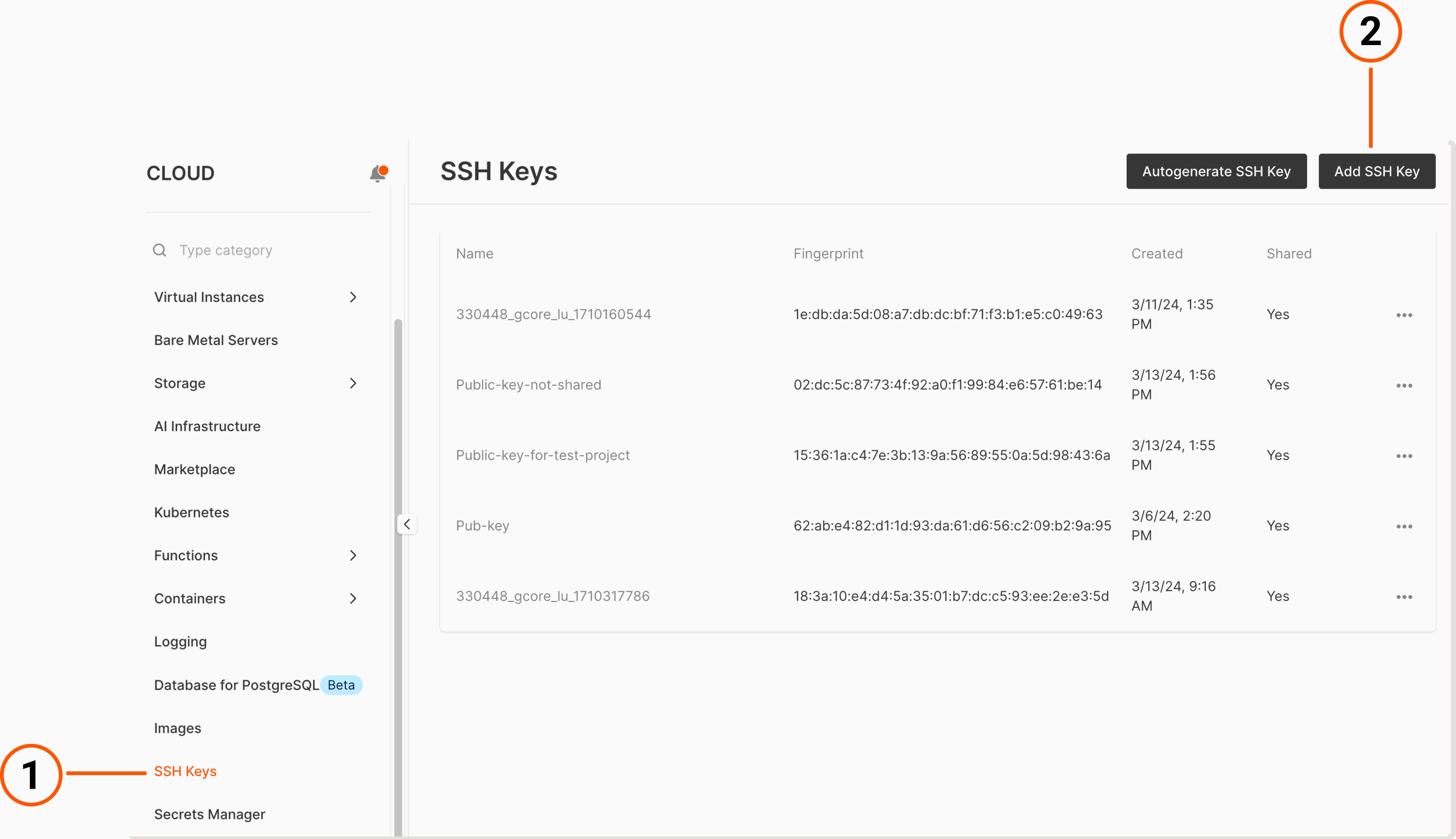 An SSH keys tab in the Gcore Customer Portal