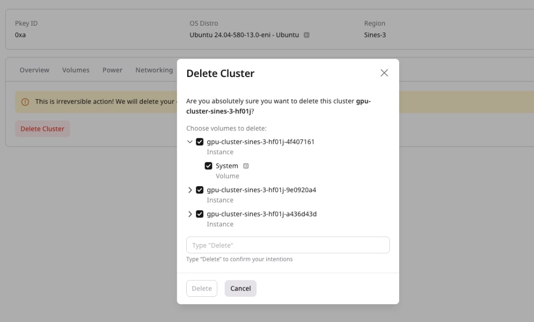 Delete Cluster dialog with volume selection and confirmation