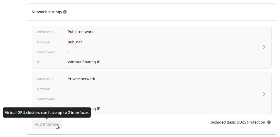 Network settings section with Public and Private interfaces configured