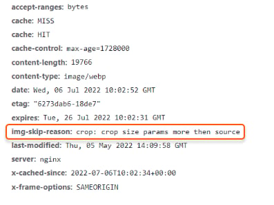 Check HTTP headers