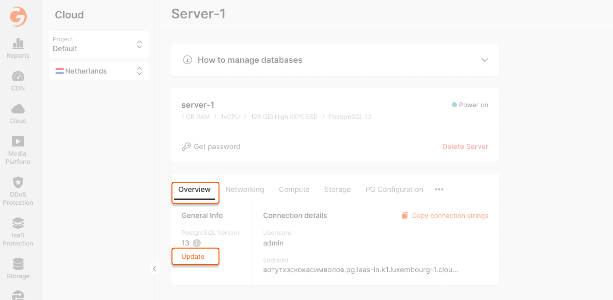 manage postgresql update version