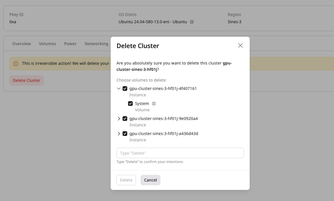 Delete Cluster dialog with volume selection and confirmation