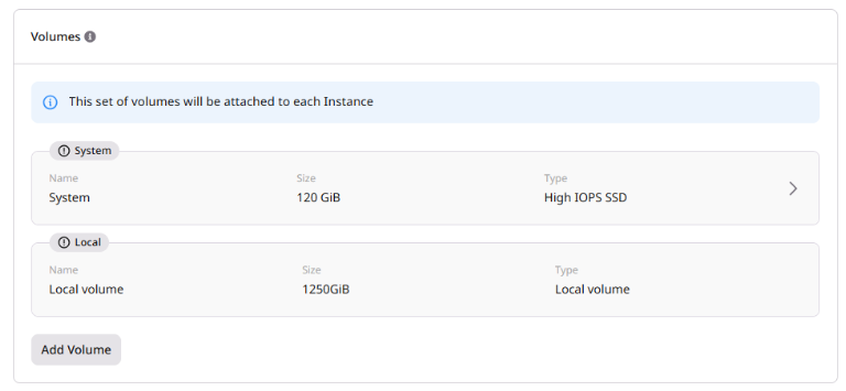 Volumes section with System and Local volumes configuration