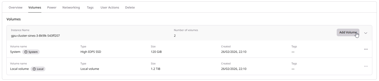 Volumes tab showing instance volumes with Add Volume button
