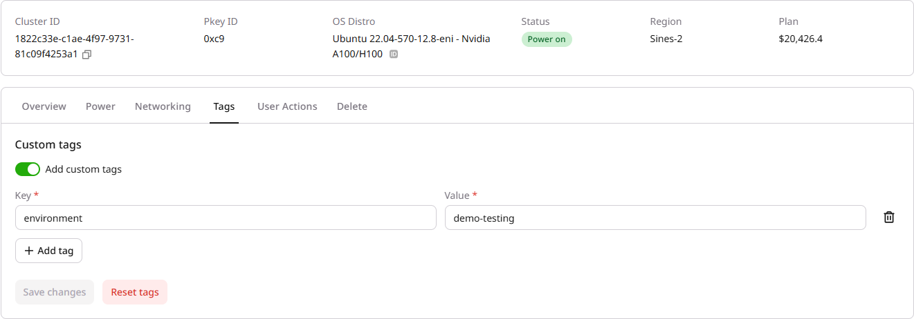 Tags tab with custom tags toggle
