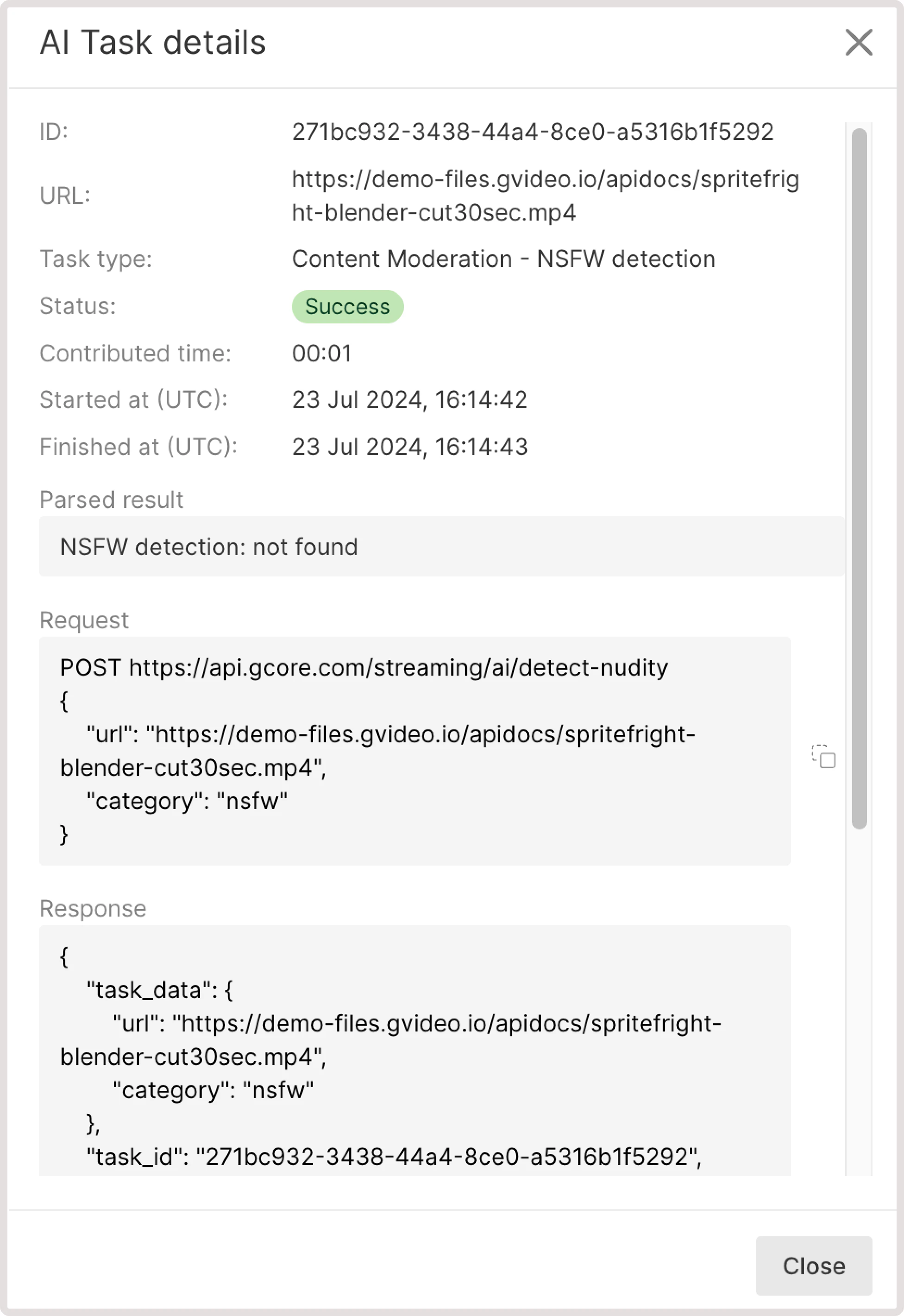NSFW detection task details