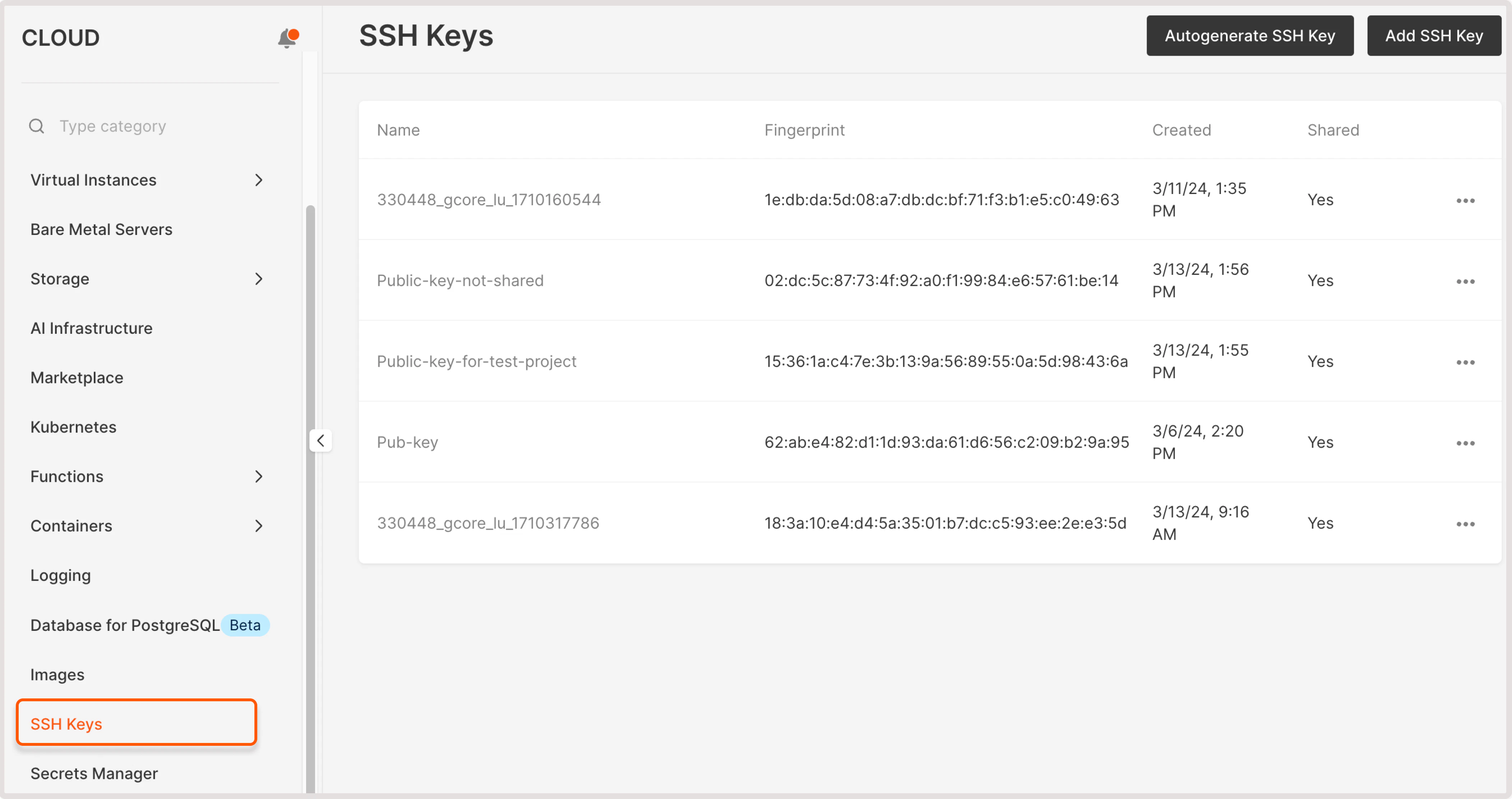 An SSH keys tab in the Gcore Customer Portal