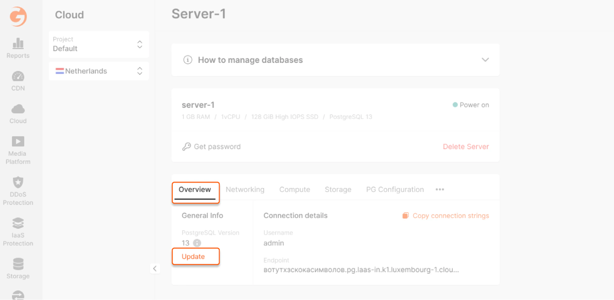 manage postgresql update version