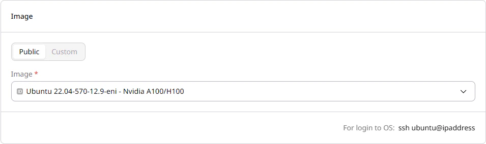 Image section with Public and Custom tabs and image selector