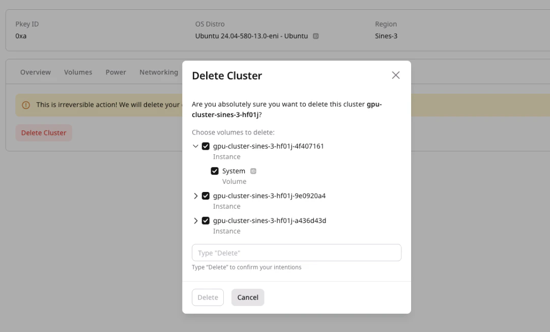 Delete Cluster dialog with volume selection and confirmation