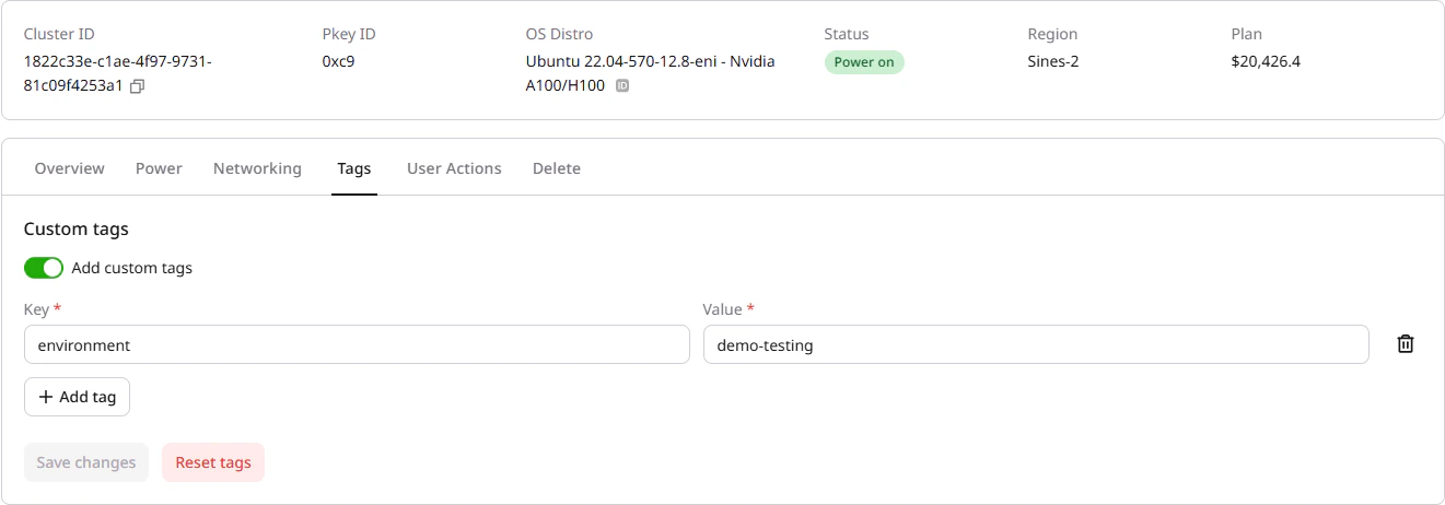 Tags tab with custom tags toggle