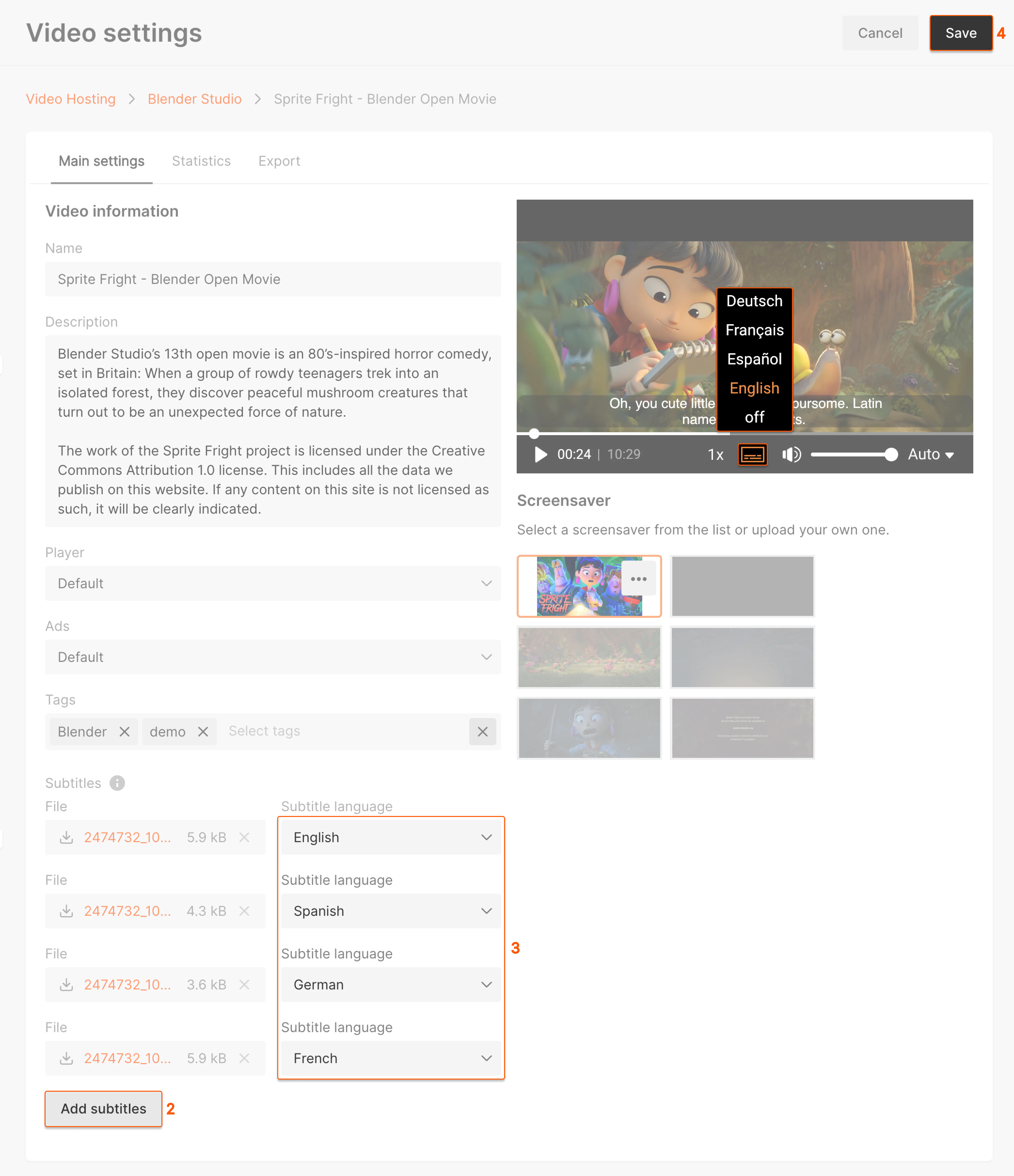 Video Hosting section
