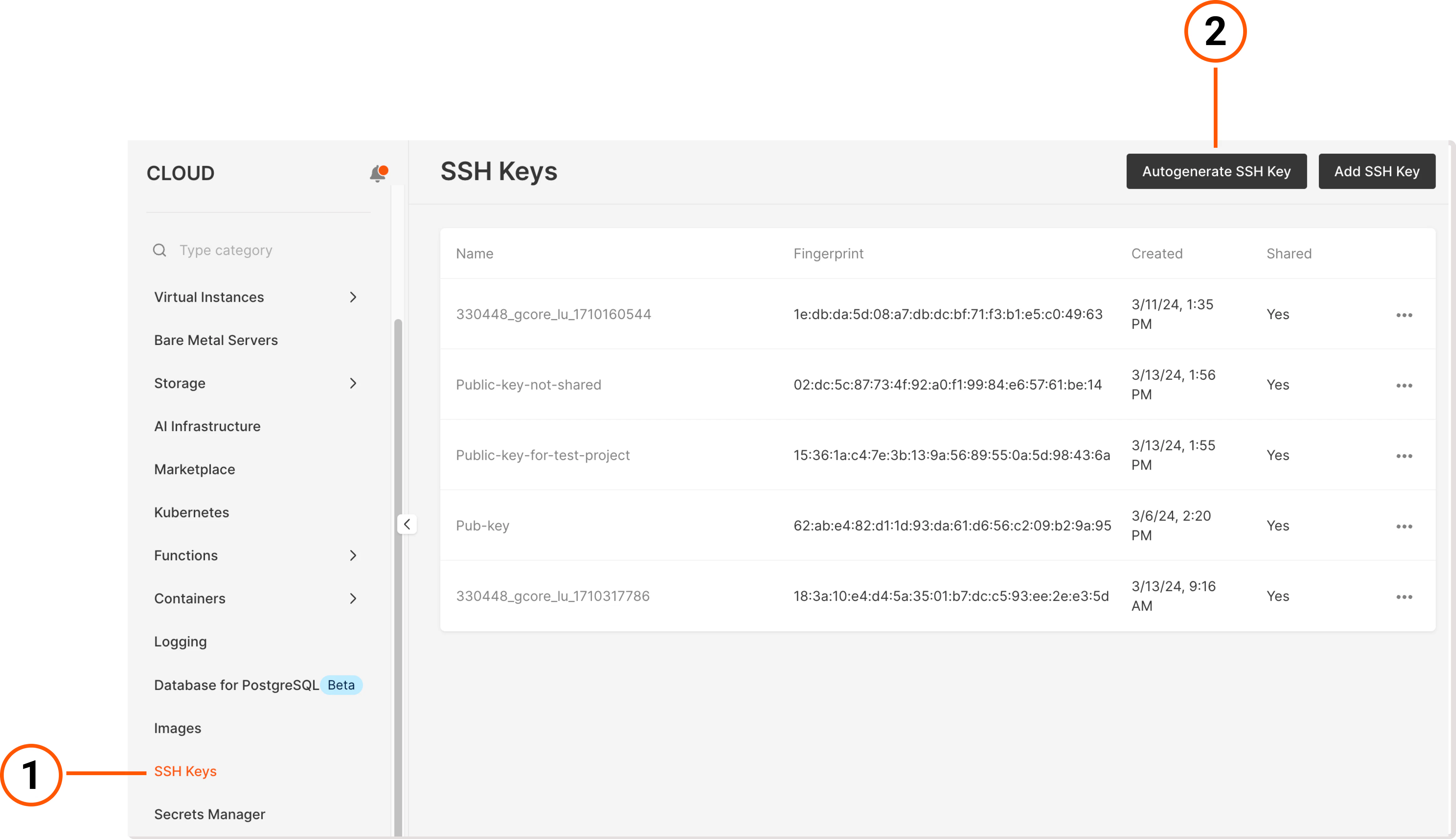 An SSH keys tab in the Gcore Customer Portal