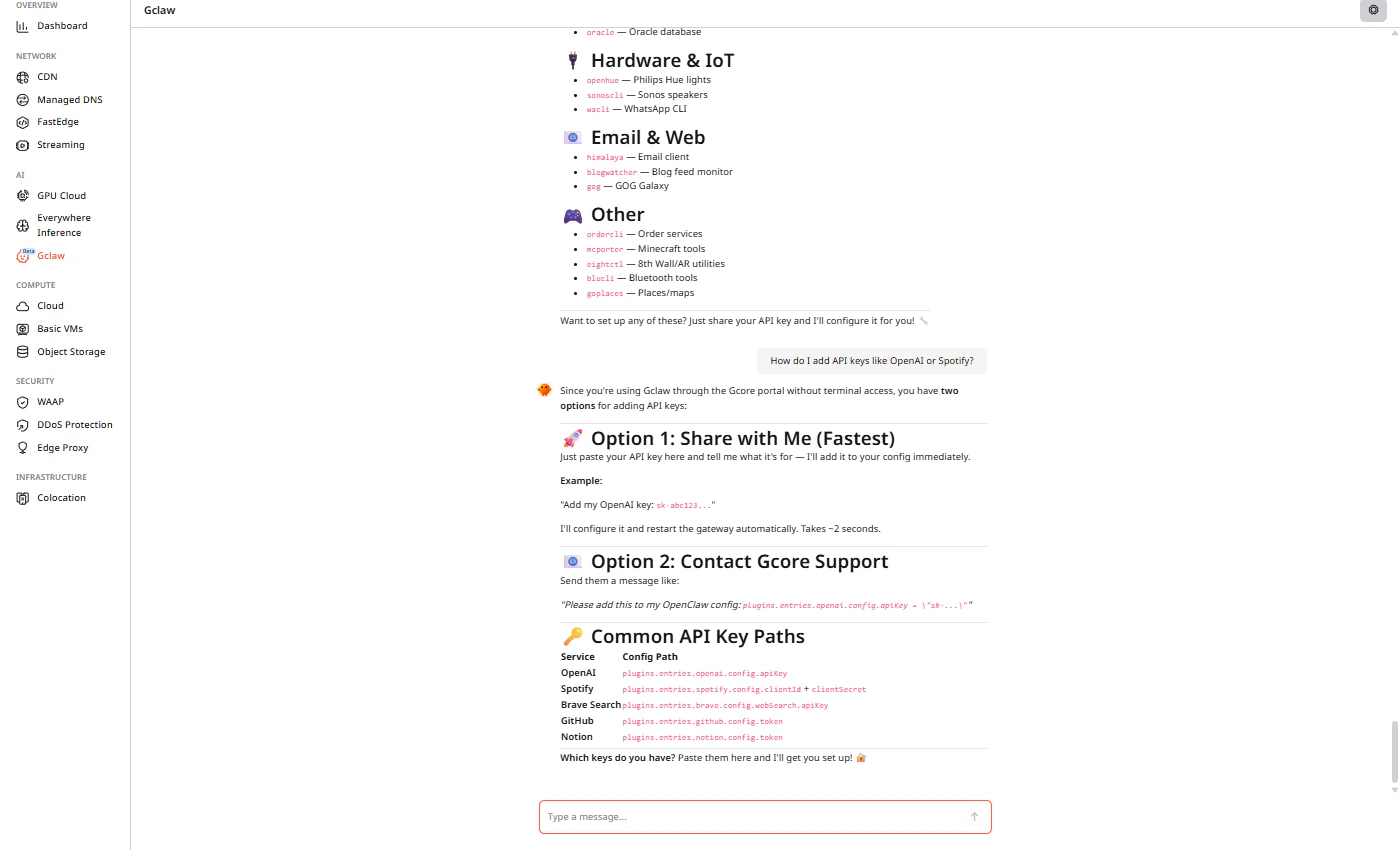 Gclaw showing API key configuration options