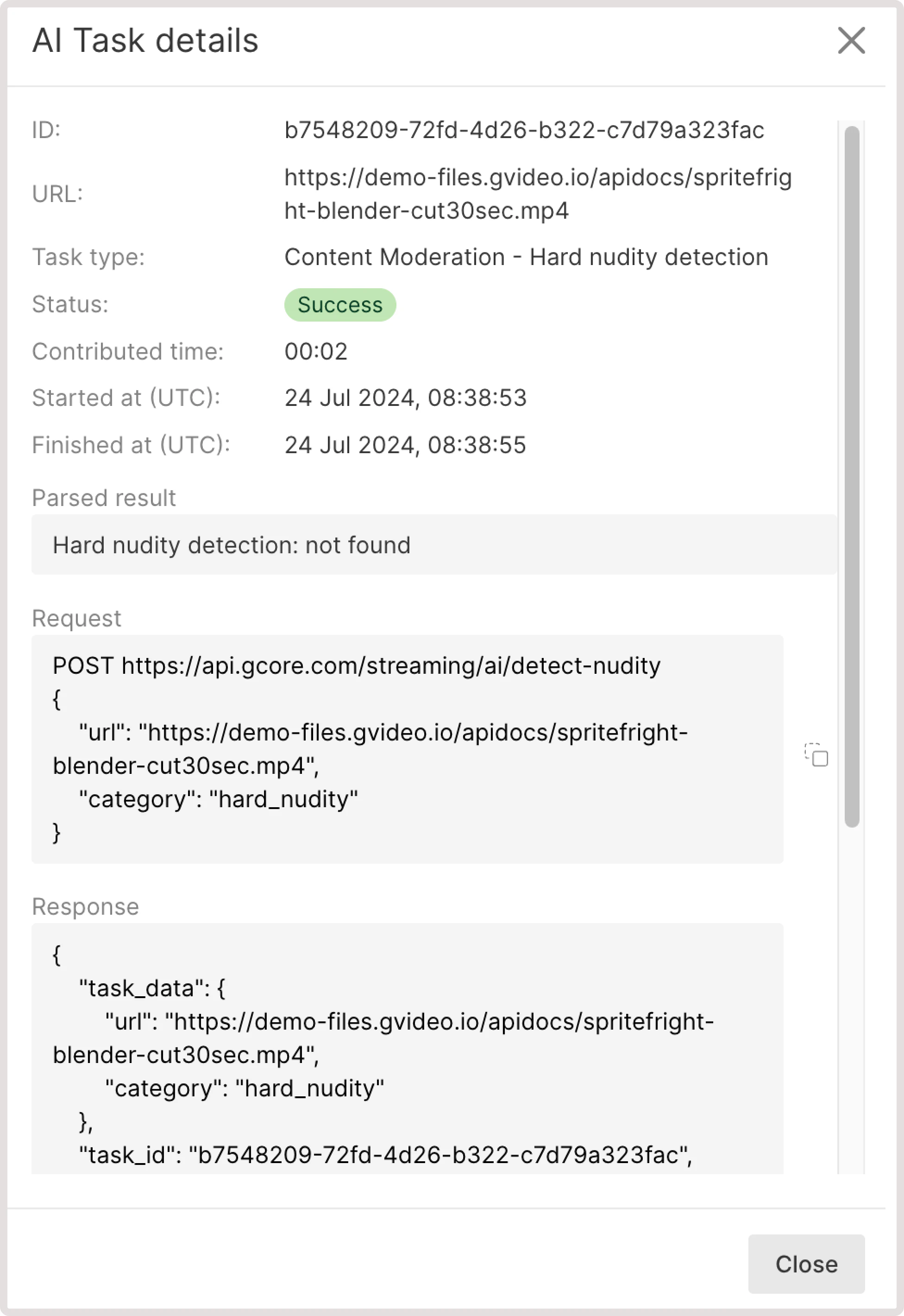 Hard nudity detection task details