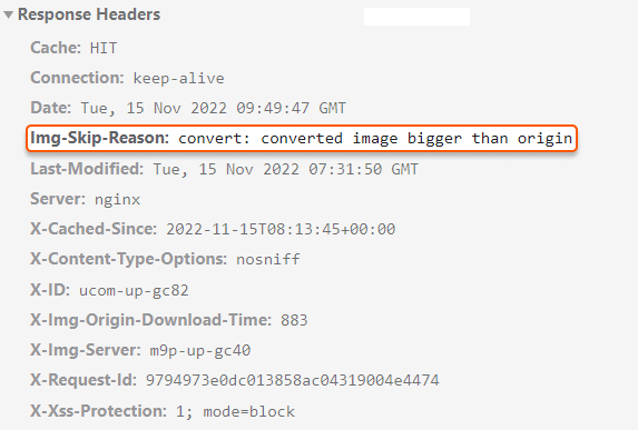 Img-Skip-Reason header showing why the image conversion was skipped
