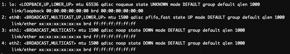 ip link show output