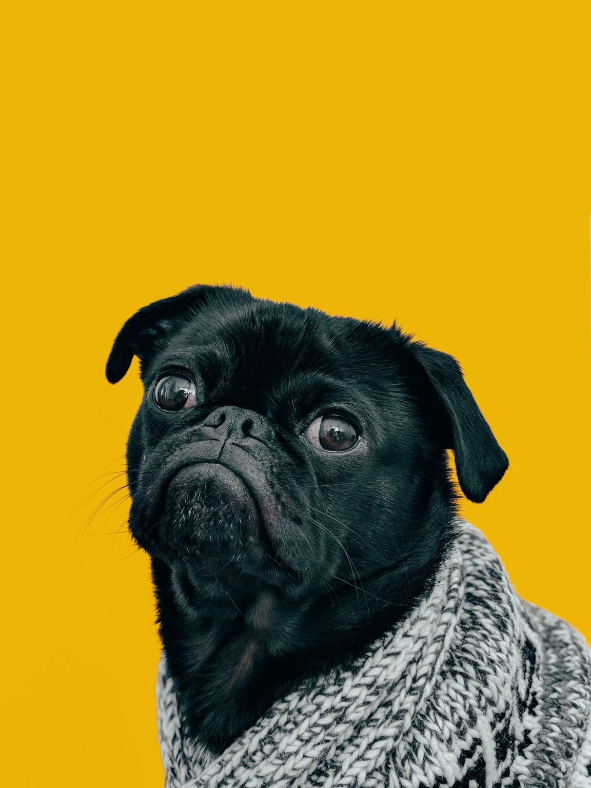 Original image