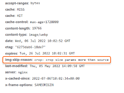 Check HTTP headers