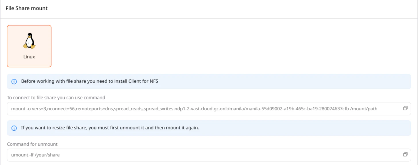 File Share Mount Pn
