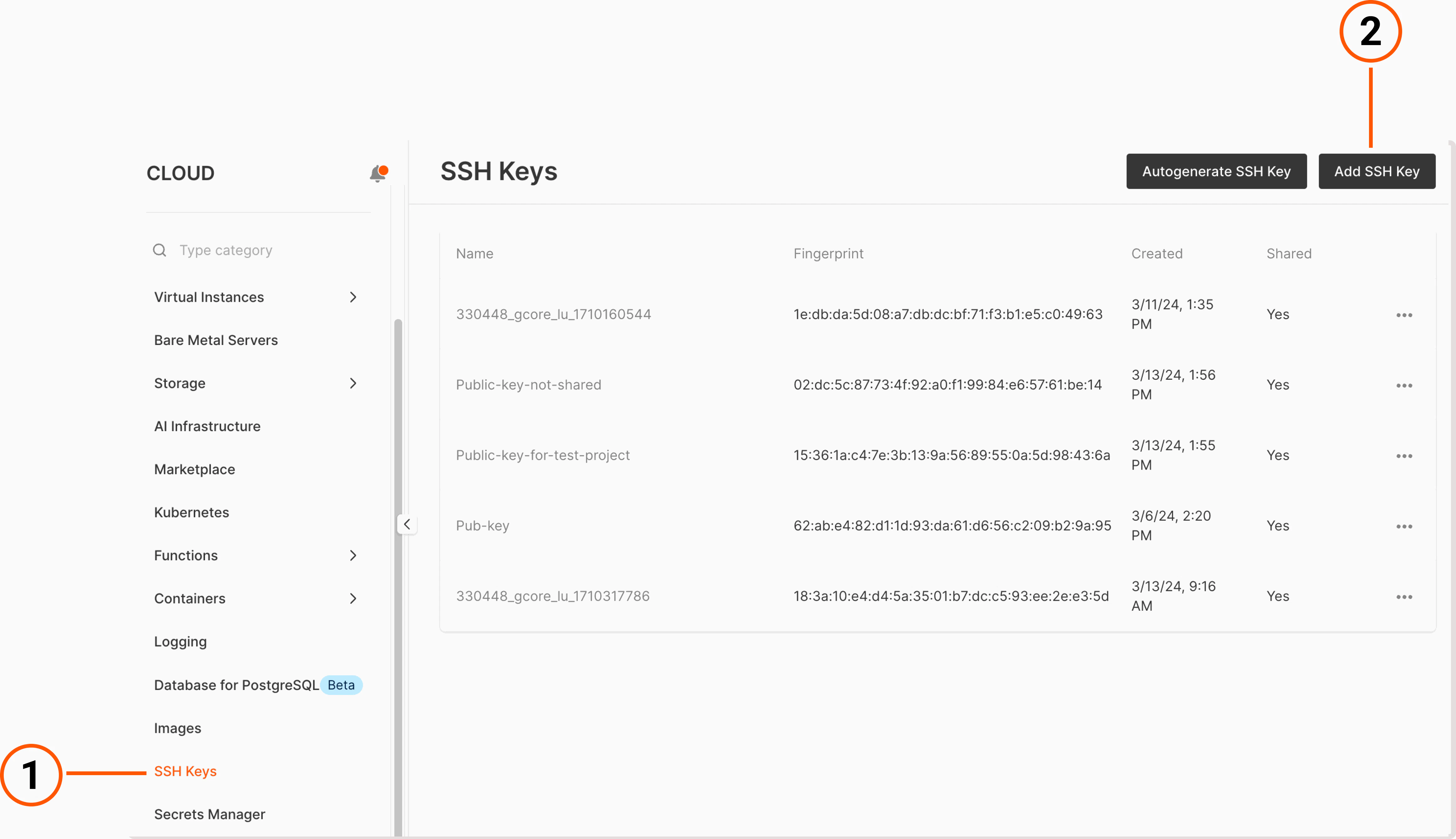 An SSH keys tab in the Gcore Customer Portal