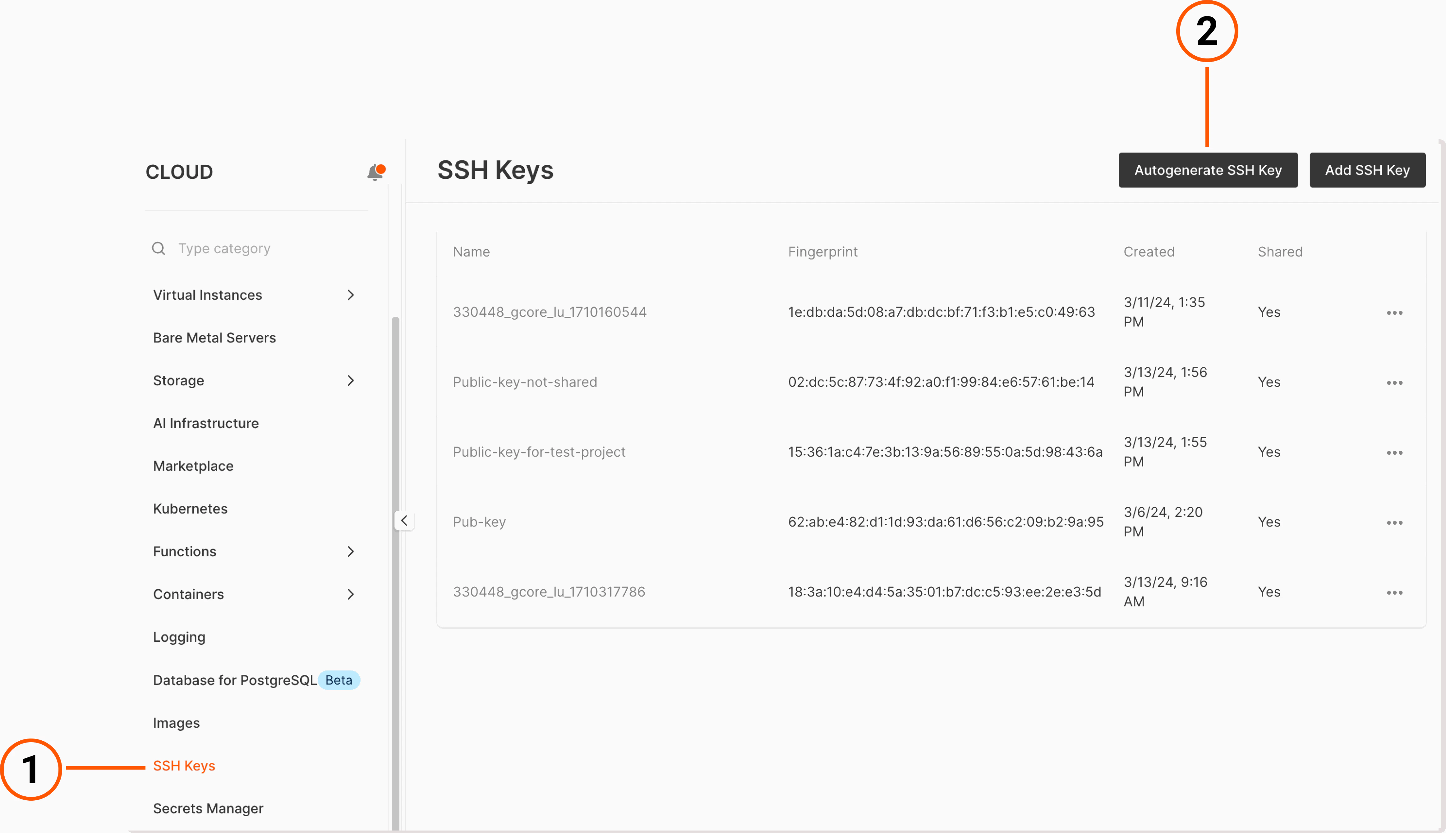 An SSH keys tab in the Gcore Customer Portal