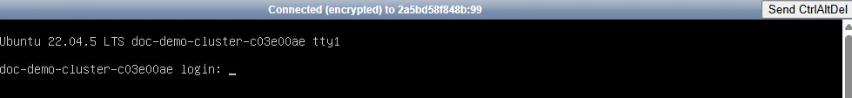 Browser-based noVNC console with login prompt