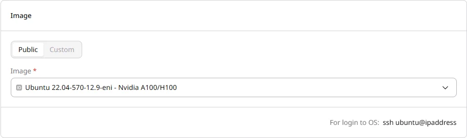 Image section with Public and Custom tabs and image selector