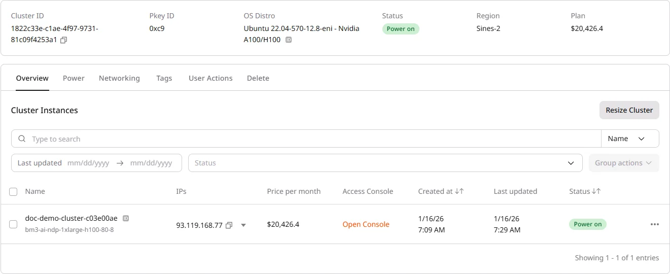 Cluster overview page showing header panel and tabs
