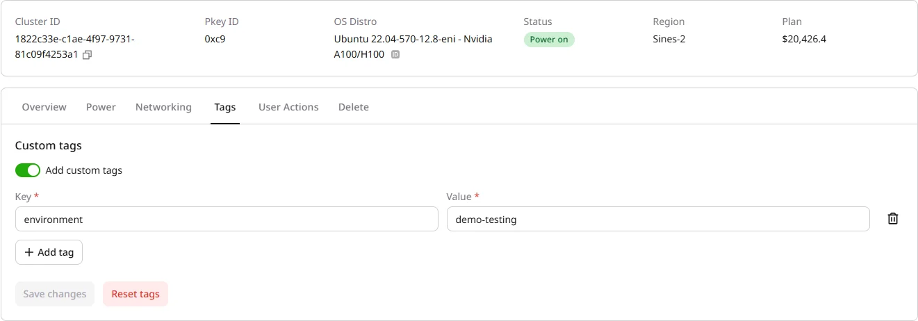 Tags tab with custom tags toggle
