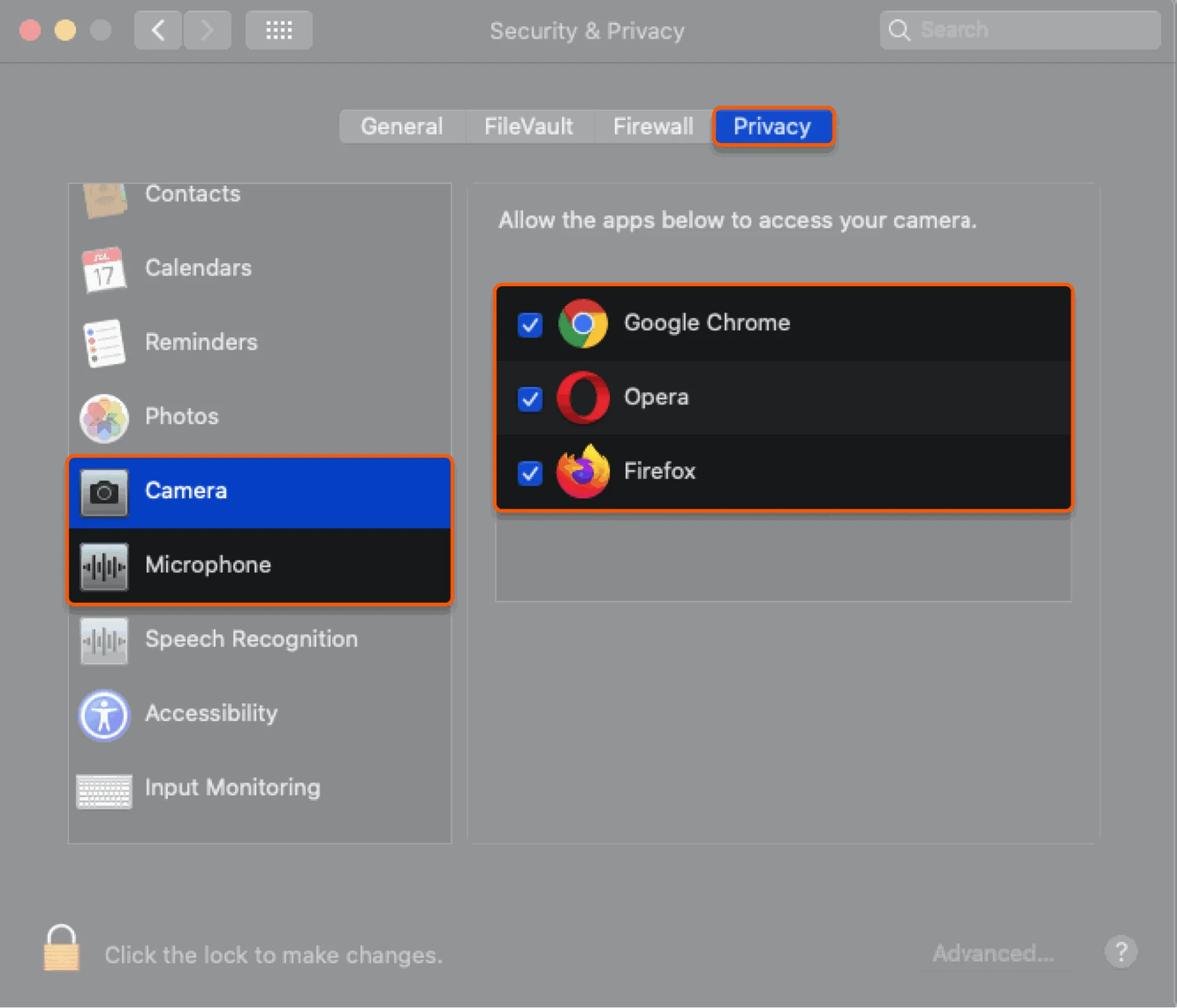 Privacy iOS section