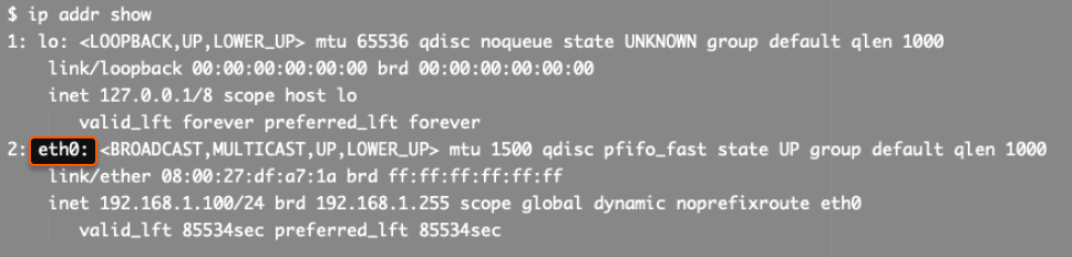 Terminal output of ip addr showing interface names