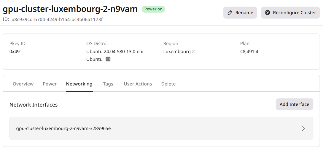 Networking tab showing node and interface list