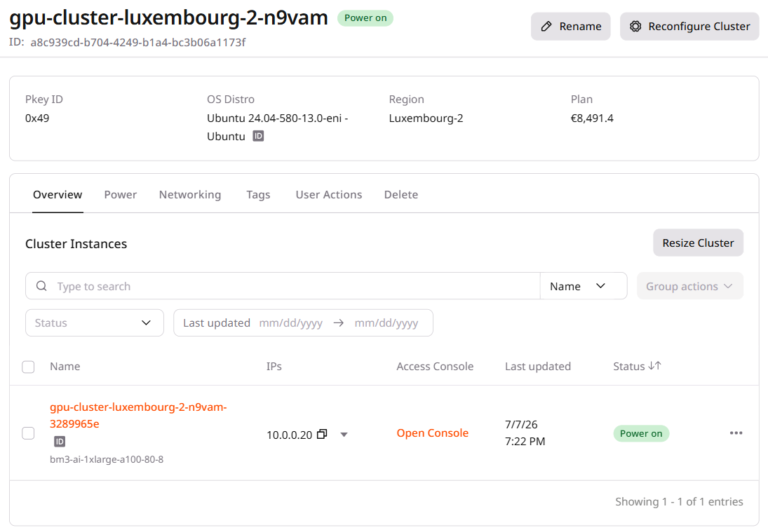 Cluster overview page showing header panel and tabs