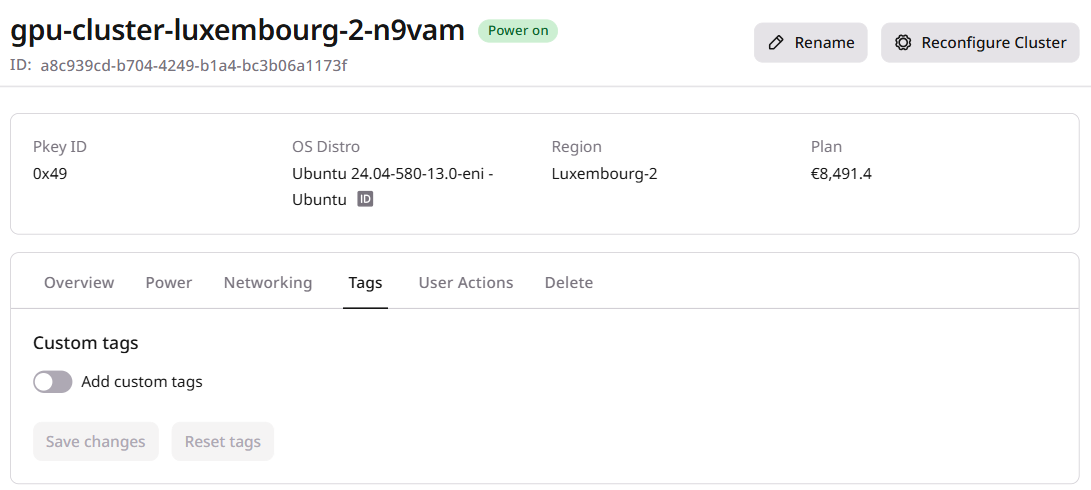 Tags tab with custom tags toggle