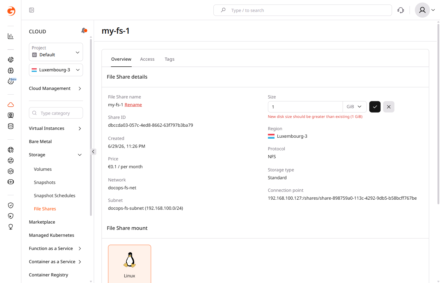 File share Overview tab with Resize button active