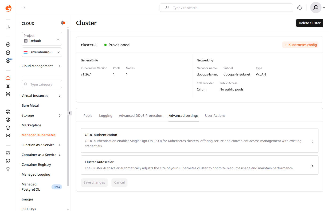 Advanced settings section in the cluster settings