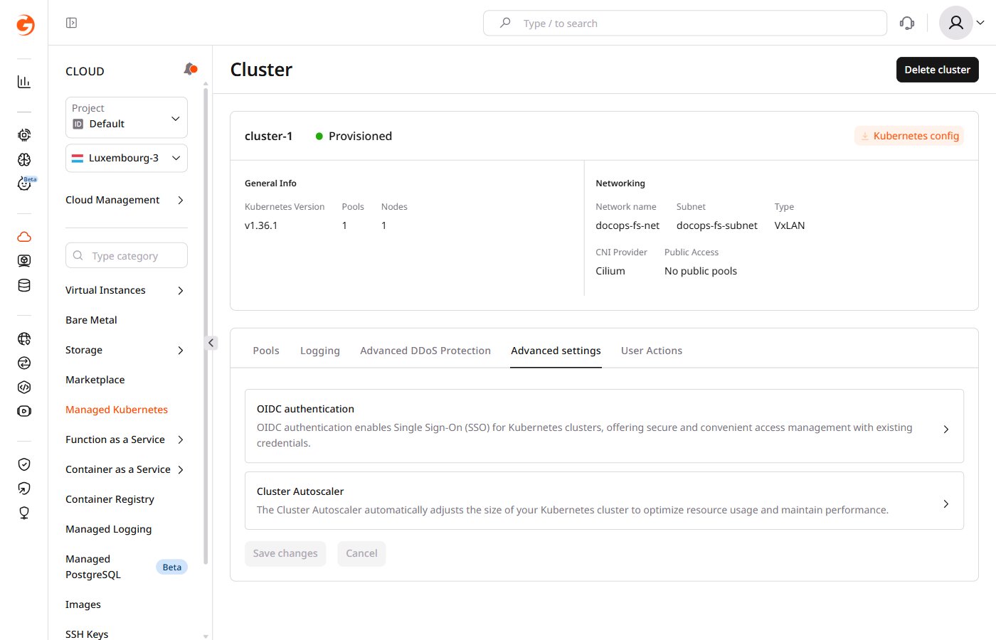 Advanced settings section in the cluster settings