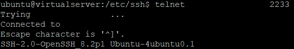 Telnet output showing SSH banner on port 2233