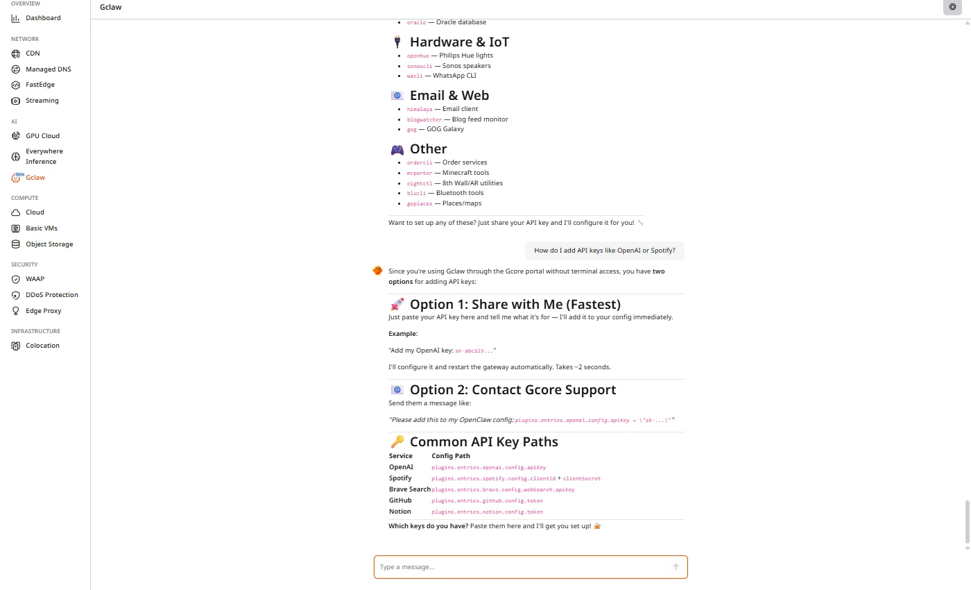 Gclaw showing API key configuration options