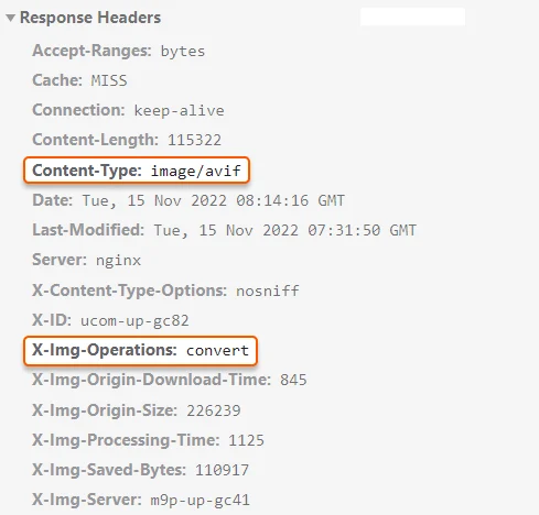 Check HTTP headers