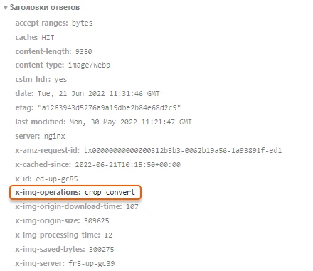Check HTTP headers