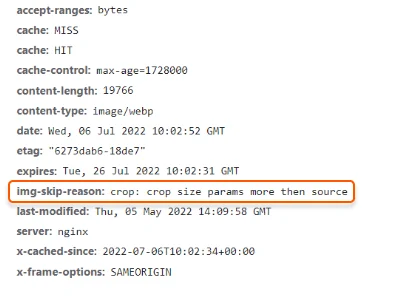 Check HTTP headers