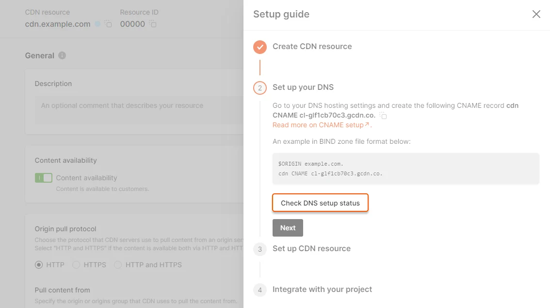 Check DNS setup status