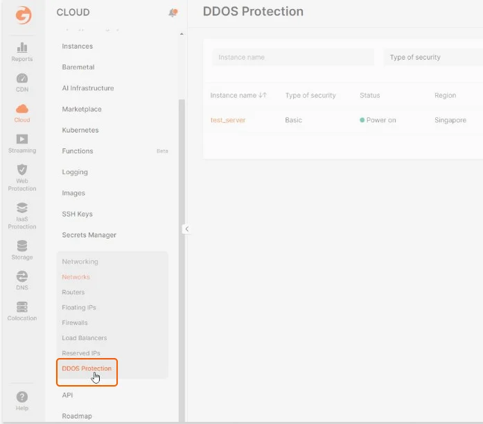 DDoS Protection
