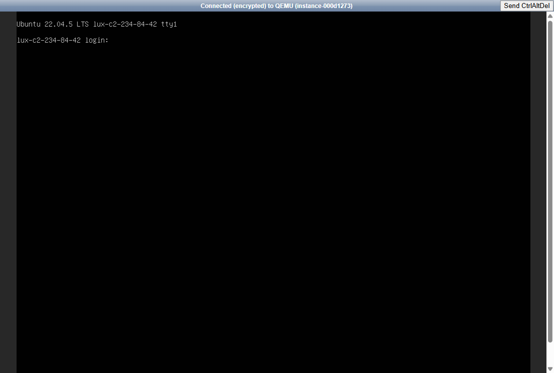 Ubuntu terminal displaying the VNC login prompt