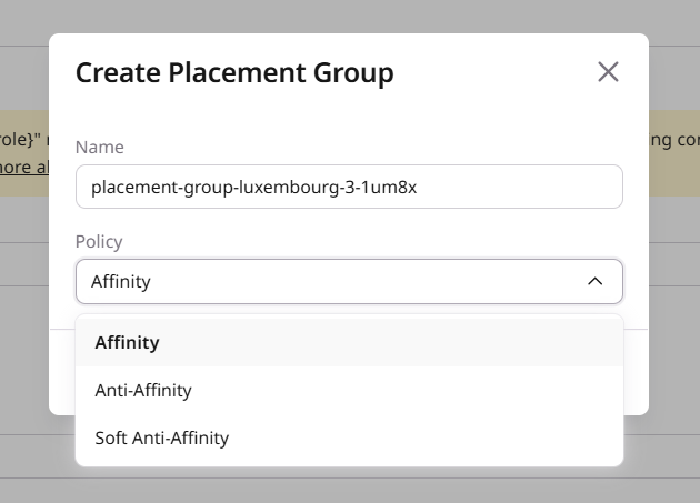 The field to add the VM to a placement group