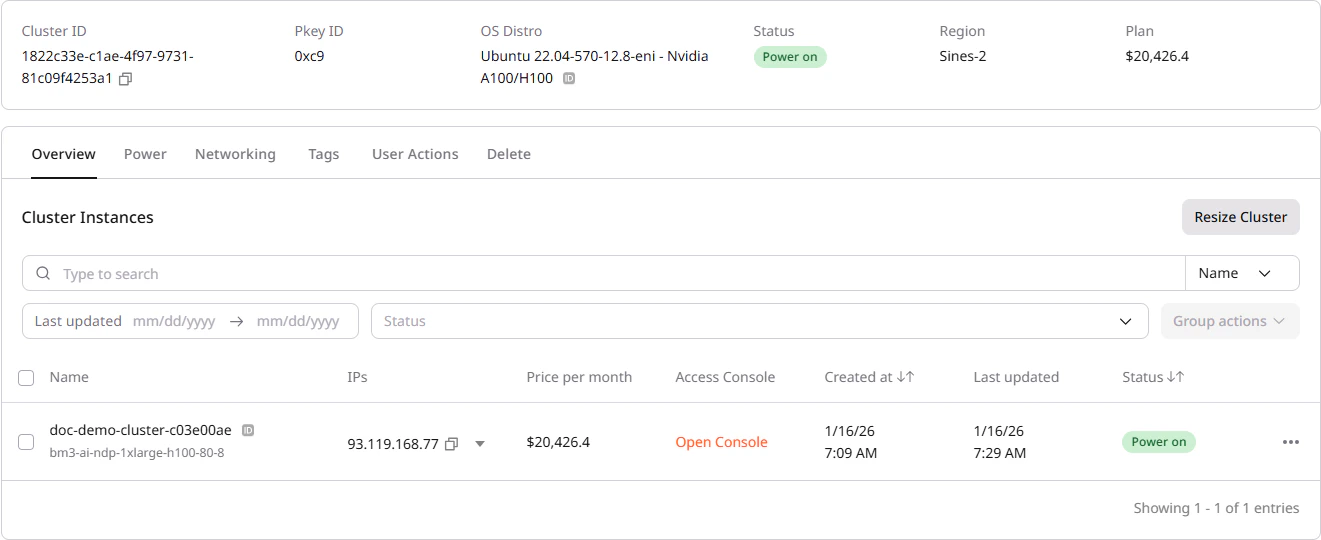 Cluster overview page showing header panel and tabs